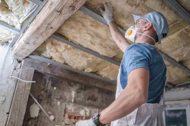 Best Spray Foam Insulation in Belleville, MI