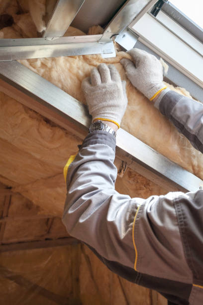 Best Cellulose Insulation in Belleville, MI
