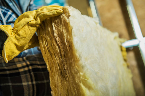 Best Insulation Maintenance and Repair in Belleville, MI