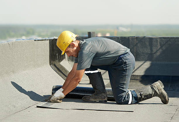 Best Eco-Friendly Insulation in Belleville, MI